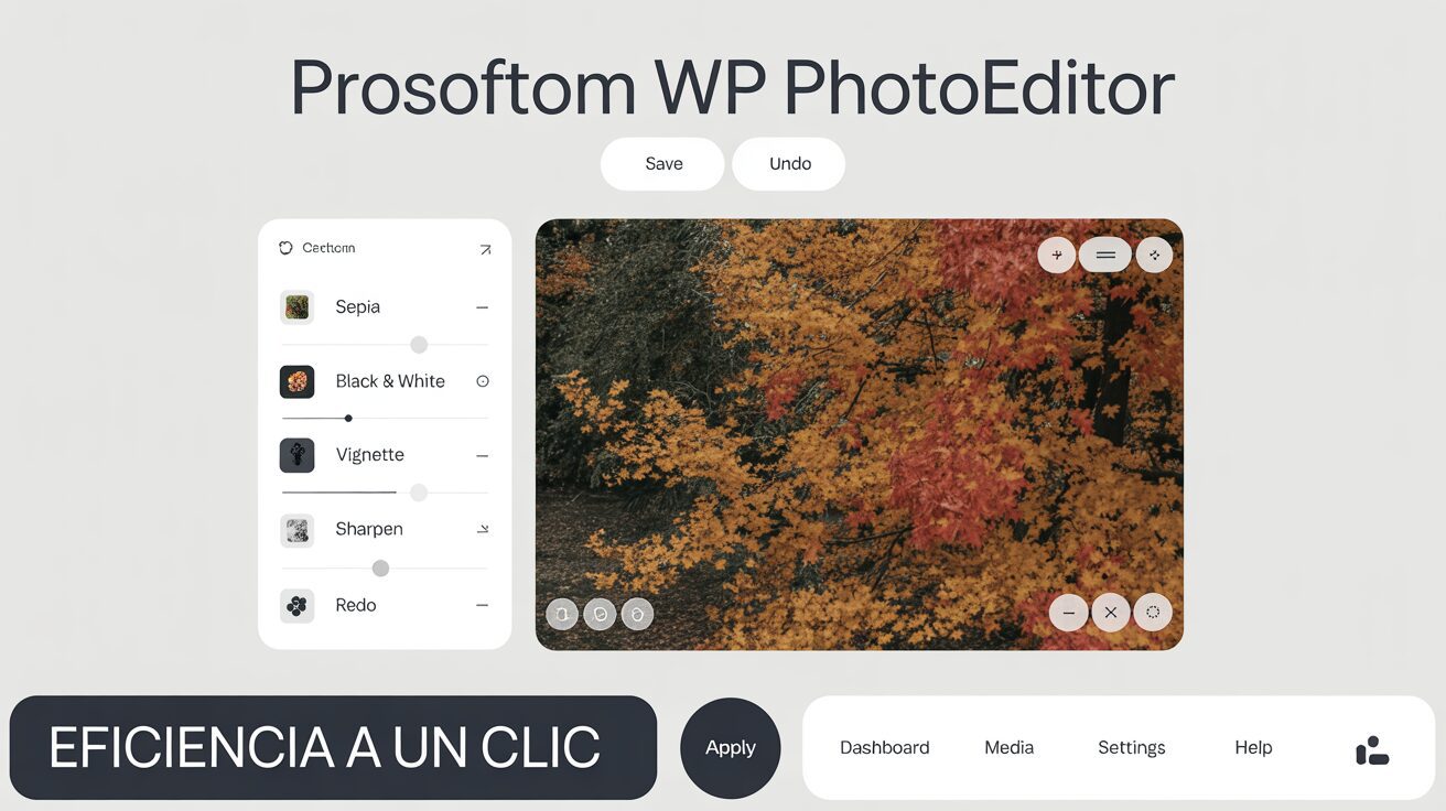 Panel de control de ProSoftom WP PhotoEditor integrado en WordPress